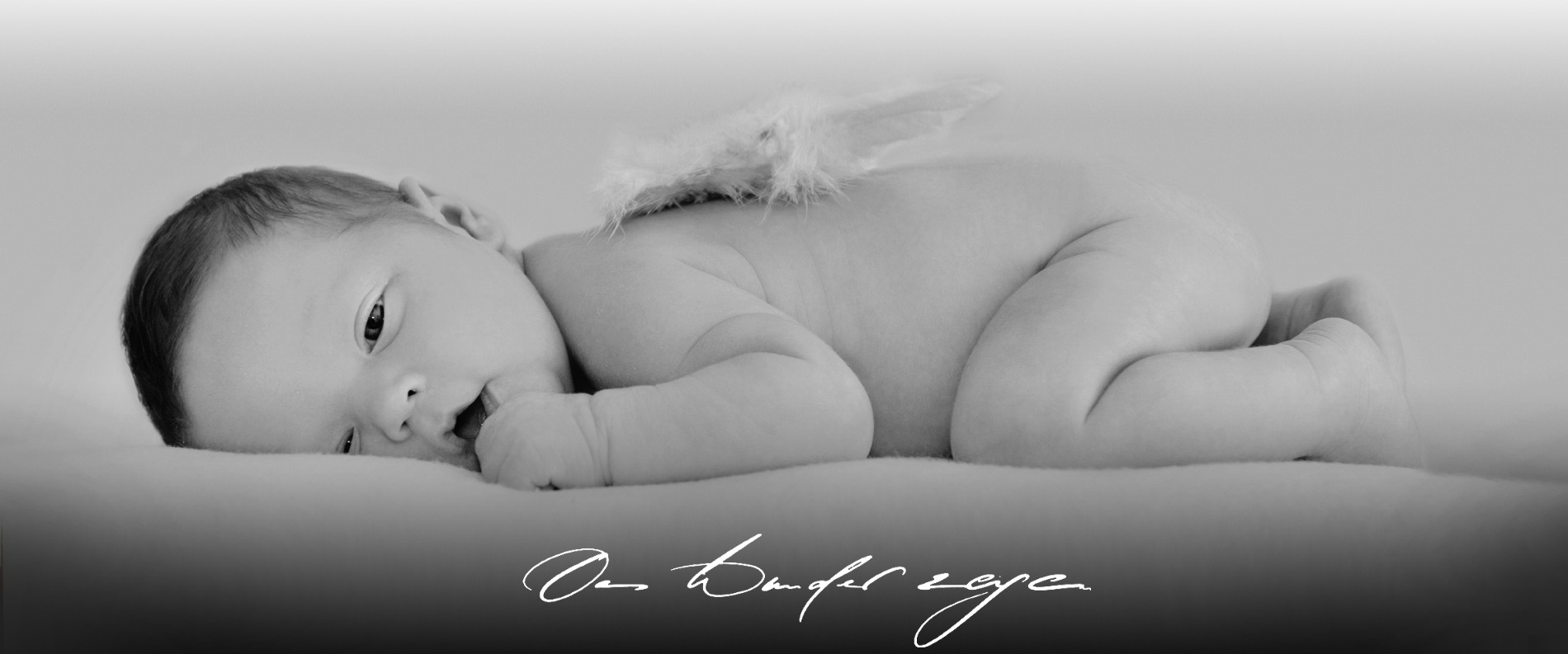 Daniela Kuhles - Fotografin Meerbusch Düsseldorf - Baby Header